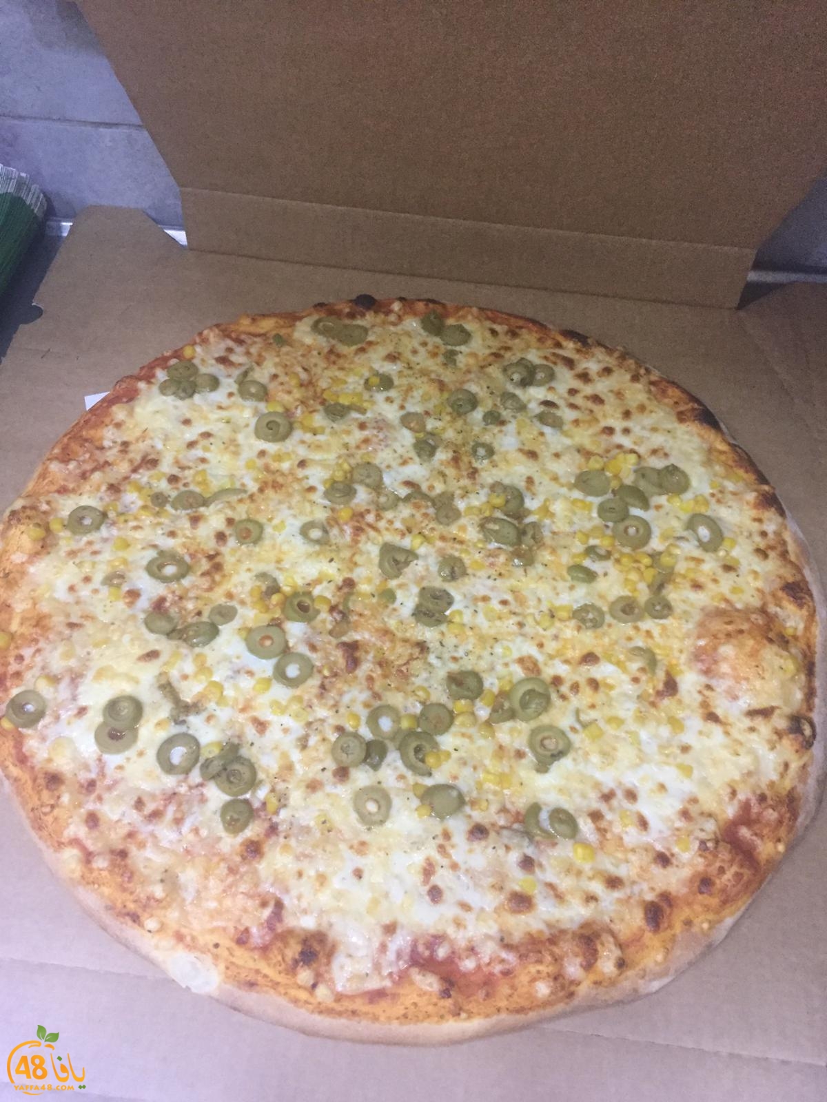 WhatsApp Image 2021-01-17 at 1.48.00 PM (1).jpeg